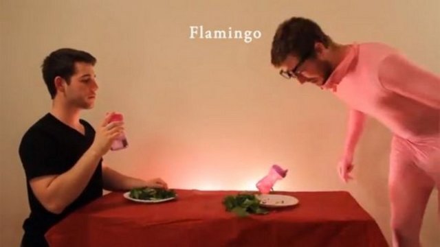 How Animals Eat Their Food -  - VIDEOYU IZLEMEK IÇIN TIKLAYINIZ