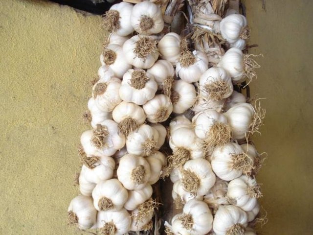 Dr. Özgür Şamilgil, soğuk algınlığına koruma kalkanı olan gıdaları şöyle anlattı