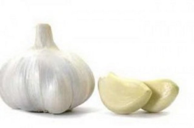 Araştırmacılara göre sarımsağın zeytinyağı içinde ezilerek ya da toz halinde kullanılması daha faydalı.