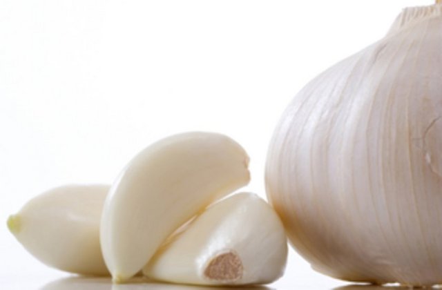 Sarımsak ve kanserle ilgili gerçekleştirilmiş 30 kadar çalışma incelendiğinde sarımsak ve soğan tüketiminin kanserden ölüm oranını azalttığı sonucuna da varılmıştır.