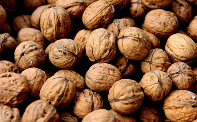 İyi bir antioksidan kaynağı olması sebebiyle kanserle savaşta önemli rolü vardır. Ceviz yenmesi, kalp sağlığının korunmasına yardımcı olur