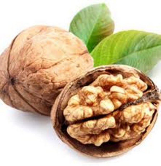 Damar tıkanıklığı ve şeker hastalığının tedavisinde de kullanılır.