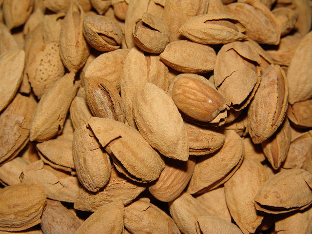 Hamilelerin sütünü artırır ve bebeklerin gelişimine yardımcı olur.