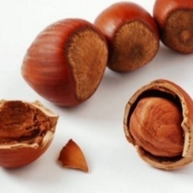 Örem, fındığın bir çok özelliğinden dolayı sağlık açısından fayda sağladığını da belirterek, şöyle devam etti: