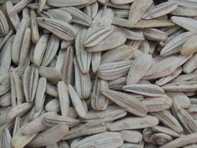 Kolesterolü düşürür, damar sertliğini giderir.