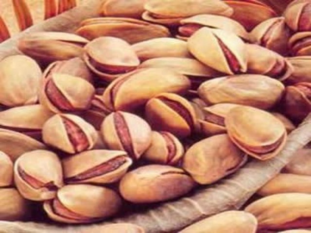 100 g antepfıstığı vücudun günlük protein,vitamin B1 ve fosfor ihtiyacının %35"ini karşılayabilmektedir.