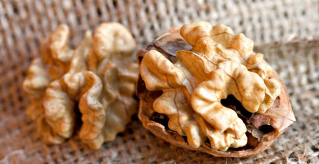 Cevizler, tıpkı diğer birçok yemiş gibi besleyicidir, özellikle de mineraller açısından.