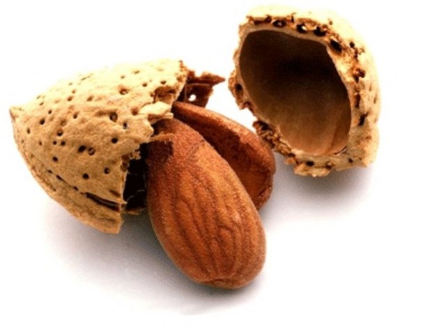 Kolestrolü düşürür. Kalp krizi riskini azaltır.