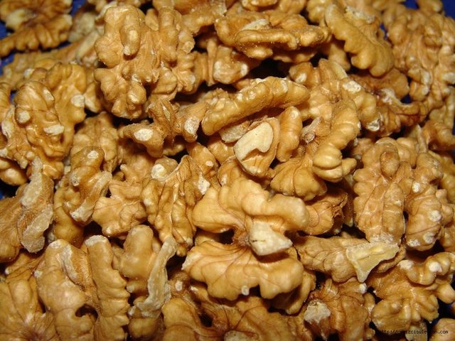 Alzheimer ve Parkinson gibi hastalıklara karşı koruyucudur.