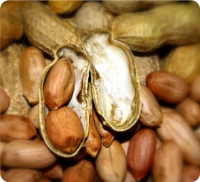 İçerdiği B3 vitamini kolesterolü düşürür, dolaşımı arttırır, zihni açar.