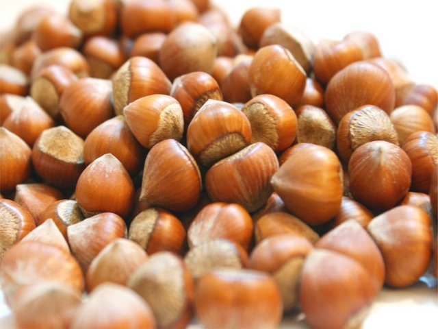 Fındıkta günlük tüketilecek toplam miktar yaklaşık 40-50 gram olmalı, aşırı tüketim kilo aldırabilir. Fındıkve benzeri ürünlerin tüketiminin sağlıklı beslenmek için bir hayat tarzı olması gerekir.