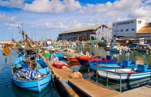 İsrail 	Kadın (ortalama yaşam süresi/yıl) 84 	Erkek (ortalama yaşam süresi/yıl) 80 	Total (ortalama yaşam süresi/yıl) 82