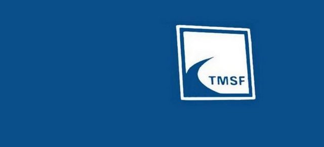 Hatta bu nedenle aynı grubun diğer bir bankası olan Yapı Kredi'nin yönetimine TMSF tarafından el konuldu.
