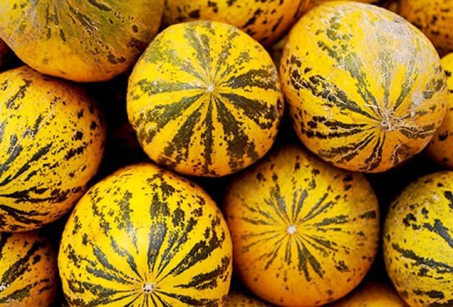 Yanıklara kavun konursa ağrıyı hafifletir ve iyileşmesini hızlandırır