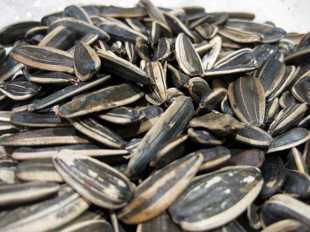 O nendenle bunu daha çok aşkınıza yedirin, siz fala tüketmeyin.