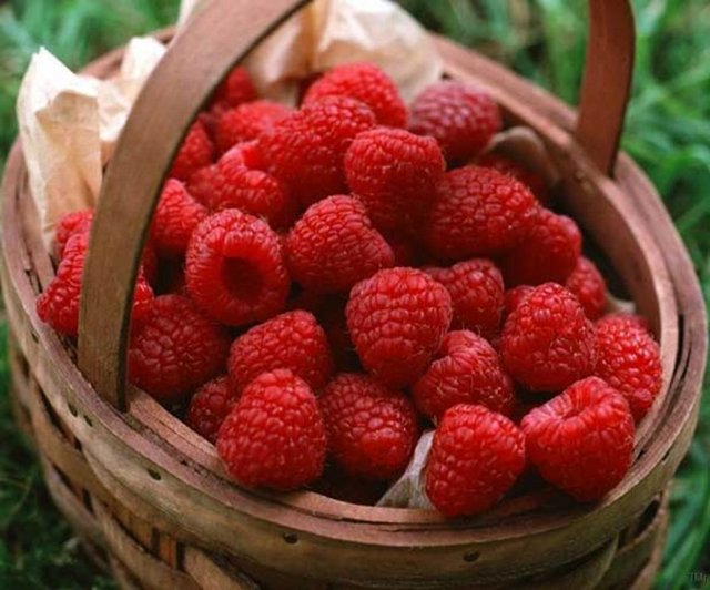 Pastaların vazgeçilmezi ahududu, cinsel gücü artırıyor, kanı temizliyor ve dinçlik veriyor.