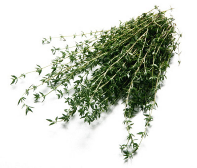 Kekik ve nane. Özellikle kadınların bütün kadınlık hormonlarının düzenli çalışmasının sağlar.