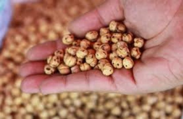 Meyveli probiyotik yoğurt: Pratik ve eğlenceli bir abur cubur olan meyveli yoğurtların probiyotik lif içerenlerini tercih etmeliyiz. Böylece bağışıklık sistemimizi de güçlendirmiş oluruz.