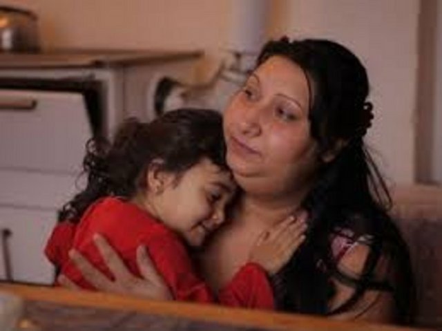 Bir Hurdacının Hayatı