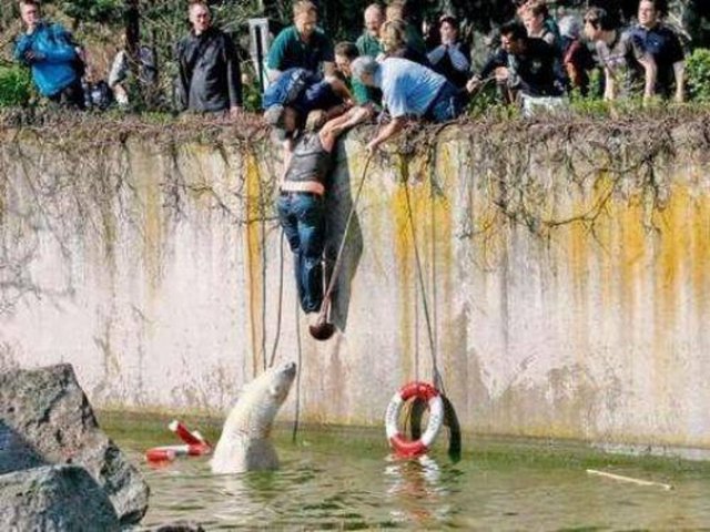 İşte hayvanların tehlikeli olduğu o anlar...