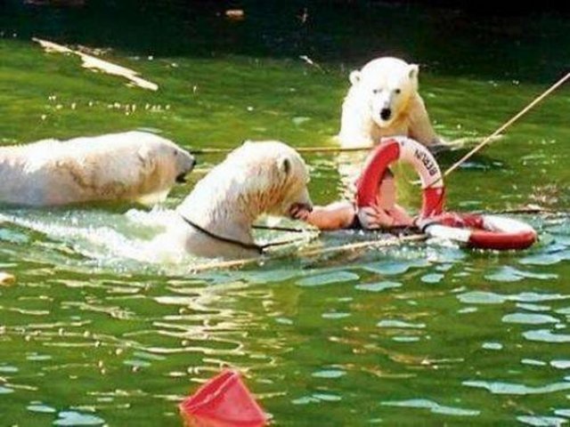 Talihsiz kadının yardımına hayvanat bahçesini ziyaret eden kişiler yetişirken, kutup ayısı tarafından defalarca ısırılan kadın canını zor kurtarmıştı.
