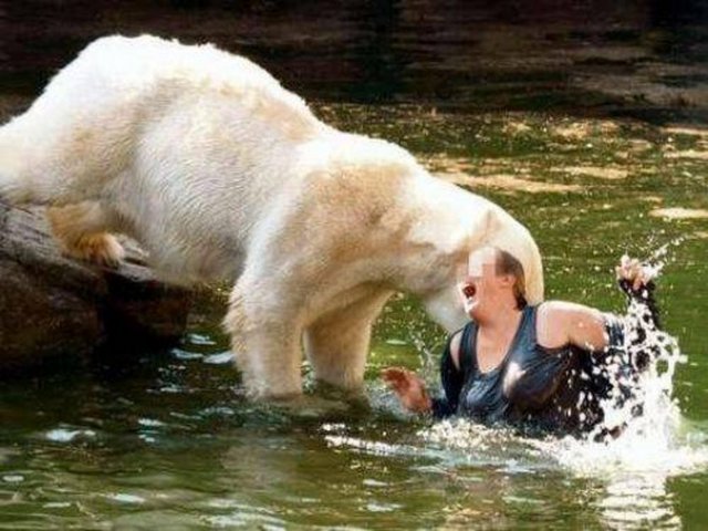 HAYVANLAR HER ZAMAN SEVİMLİ OLMUYOR - Almanya'da Berlin Hayvanat Bahçesi'ndeki kutup ayıları bir kadın ziyaretçiye saldırma anları böyle görüntülenmişti.