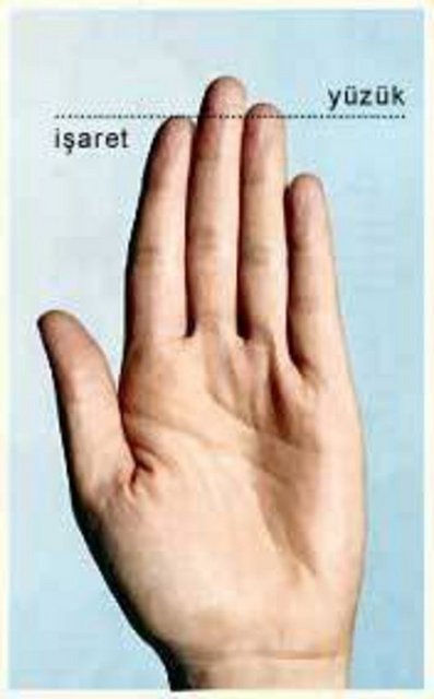 Yüzük parmağı, işaret parmağından uzun olan bir insan...
