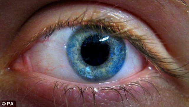 Gözlerin arkasındaki küçük damarlar ise, beyin sağlığı hakkında ipucu veriyor. Bir araştırmaya göre, göz damarları daha geniş olan orta yaşlı insanlar, zeka testlerinde düşük puan aldı.