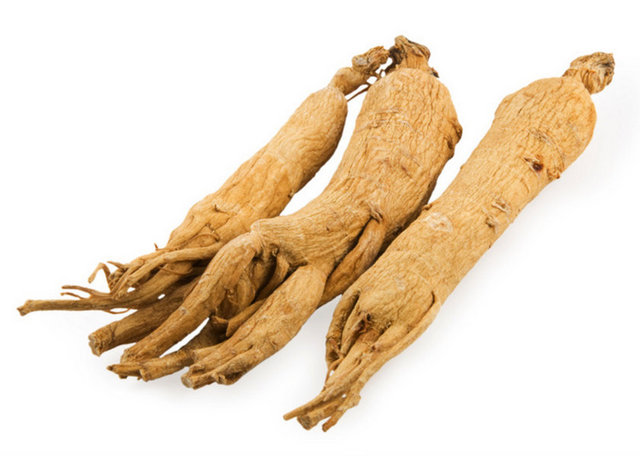 Ginseng: Hiperglisemik kişilerde kan glukoz seviyesinde düşme olacağı için doktor kontrolünde kullanılmalıdır.