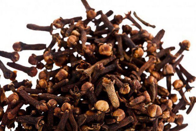 Karanfil: Genel önlemler veya ilaç etkileşimleriyle ilgili önlemler, ilaç ve laboratuvar testi etkileşimleri, gebelikte teratojenik veya teratojenik olmayan etkiler, emziren anneler veya pediatrik kullanım hakkında bilgi bulunmamaktadır.