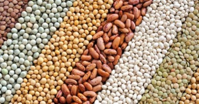 Baklagiller tam anlamıyla lif deposudur. Ayrıca yüksek dozda protein içerirler ve kas kaybını önlerler.  -