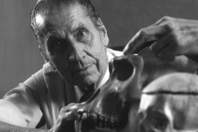 Beyin Kontrolü Deneyi - 1960'lı yıllarda nörolog Jose Delgado vahşi bir boğanın beynine elektriksel titreşimleri etkileyebilen ve uzaktan kumanda edilebilen bir tür bilgisayar çipi yerleştirmişti.