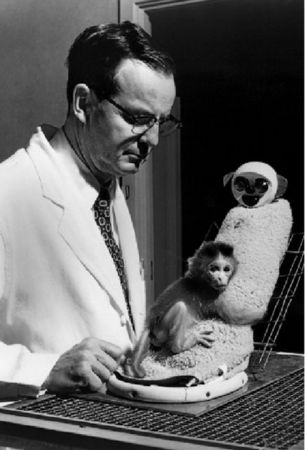 Deneylerinden birinde, "çaresizlik kuyusu" adını verdiği, boş ve tüm dış etkenlerden mahrum şekilde tasarlanmış bir oda şeklindeki, içinde çeşitli düzenekler bulunan bir aparatın içinde maymunlar üzerinde çalıştı.