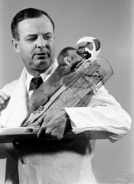 Harlow, meslektaşlarından gelen eleştirilerin hiçbirini önemsemedi ve kendi deyimi ile şunu söyledi: