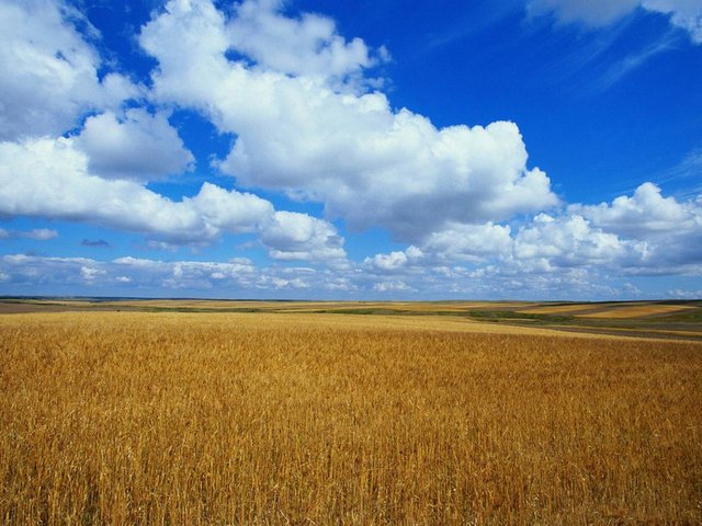 HZ. EYYÜB (AS): Ziraatcıydı.
