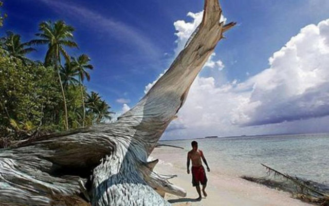 Tuvalu: İngiltere'den 1978'den ayrıldığından bu yana ordusu yok. Ülkede sadece küçük bir polis teşkilatı var. -