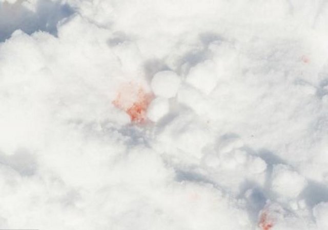 Hatta bir karede yer alan kırmızılıkların Schumacher'in kanı olduğu iddia ediliyor.