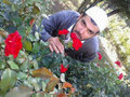 İşte Facebook fenomenleri