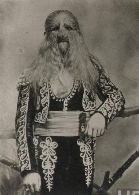 Tüm vücudu ona tıpkı bir aslan görünümü veren uzun kıllarla kaplıydı.