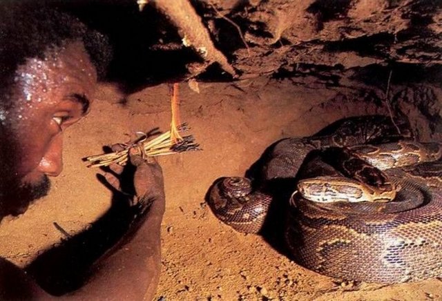 İşte şaşkına çeviren avdan fotoğraflar...
