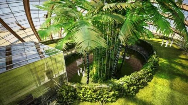 - Otelin içinde kuşlar bile uçuşuyor.  -