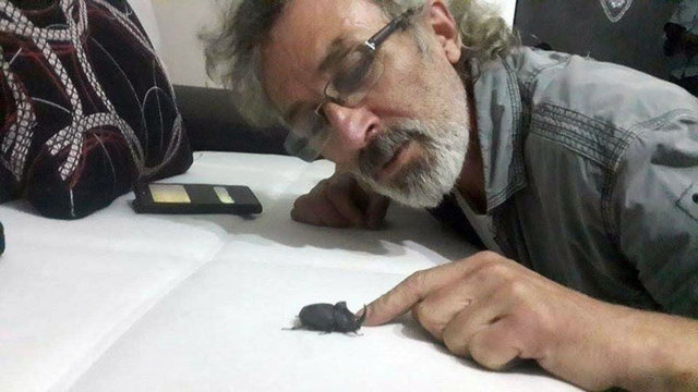 Bursa'nın İznik ilçesinde yaşayan Yaşar Öztürk evinde Gergedan böceği buldu.