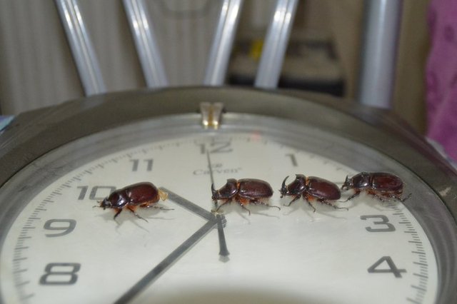 İnan, "100 bin dolar - yapıyormuş dediler. Cep telefonumun - ışığı ile aramaya başladım - ve buldum.