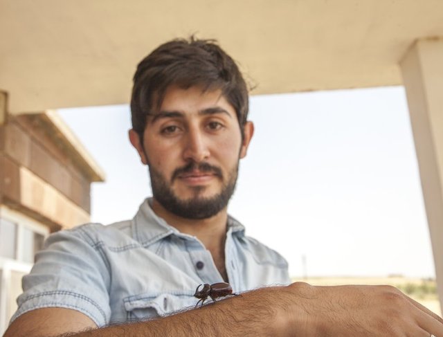 Amasya'da Naide İnan da, - internetten araştırma yaptığında - yakaladığı böceğin - gergedan böceği olduğunu - anlamış.