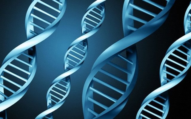 Dünyada her yıl 12 milyon kişinin kansere yakalandığına dikkat çeken bilim adamları, brokolinin hastalıkla mücadelede ilaçlar kadar etkili olduğunu belirtiyor.