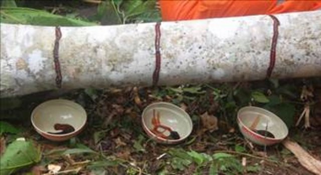 Bu da bu doğal mucizevi reçineyi çok değerli yapmakta.