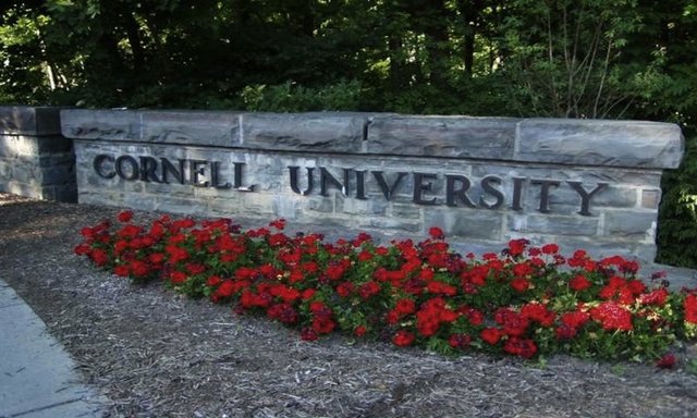 10-Cornell Üniversitesi - Önemli mezunları: Burger King kurucusu James McLamore, Pricelink.com kurucusu Jay Walker, Staples kurucusu Myra Hart ve Qualcomm kurucusu Irwin M. Jacobs