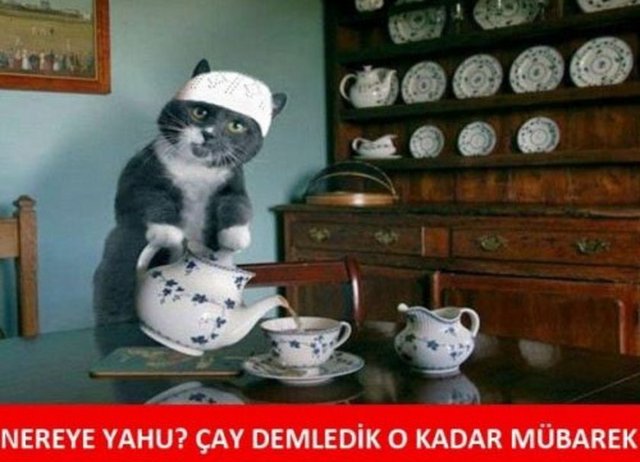 Mübarek  - Mübarek diye seslenilen kişilere bir zamanlar "Muhterem" denirdi. (listelist)