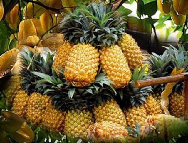 Ananas, etin sindirilmesinde yardımcı olur.