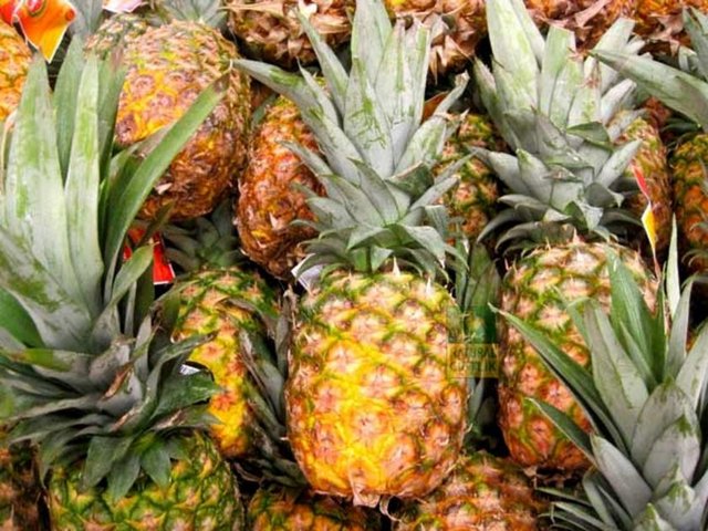 Ananasın içerdiği zengin B vitamini cildi etkili bir şekilde nemlendirir ve saçı da parlatır.